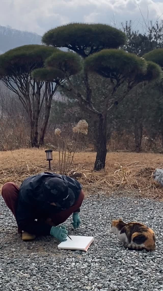 토피어리 마당과 반려묘 나비